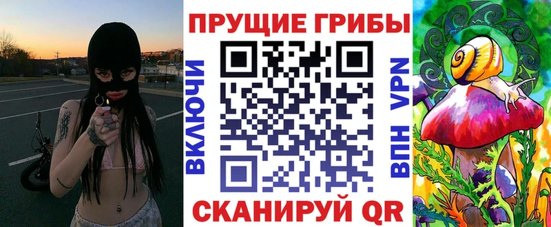 Галлюциногенные грибы мицелий  Купить где  Оренбург 