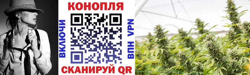 Конопля Amnesia Оренбург